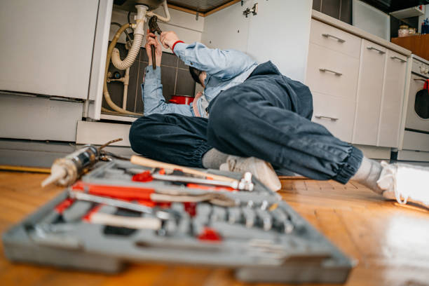 Best Toilet Repair Services  in Monee, IL