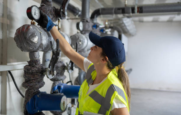 Best Water Leak Repair  in Monee, IL