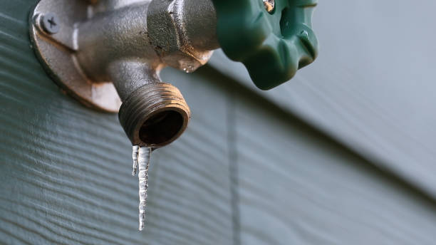 Best Drain Cleaning Services  in Monee, IL
