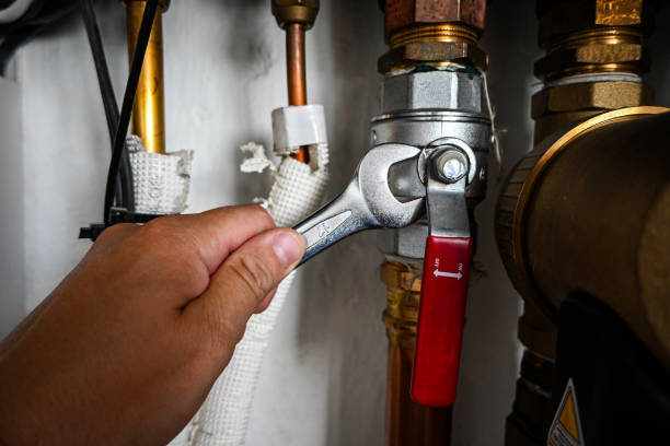 Best Plumbing Services Near Me  in Monee, IL